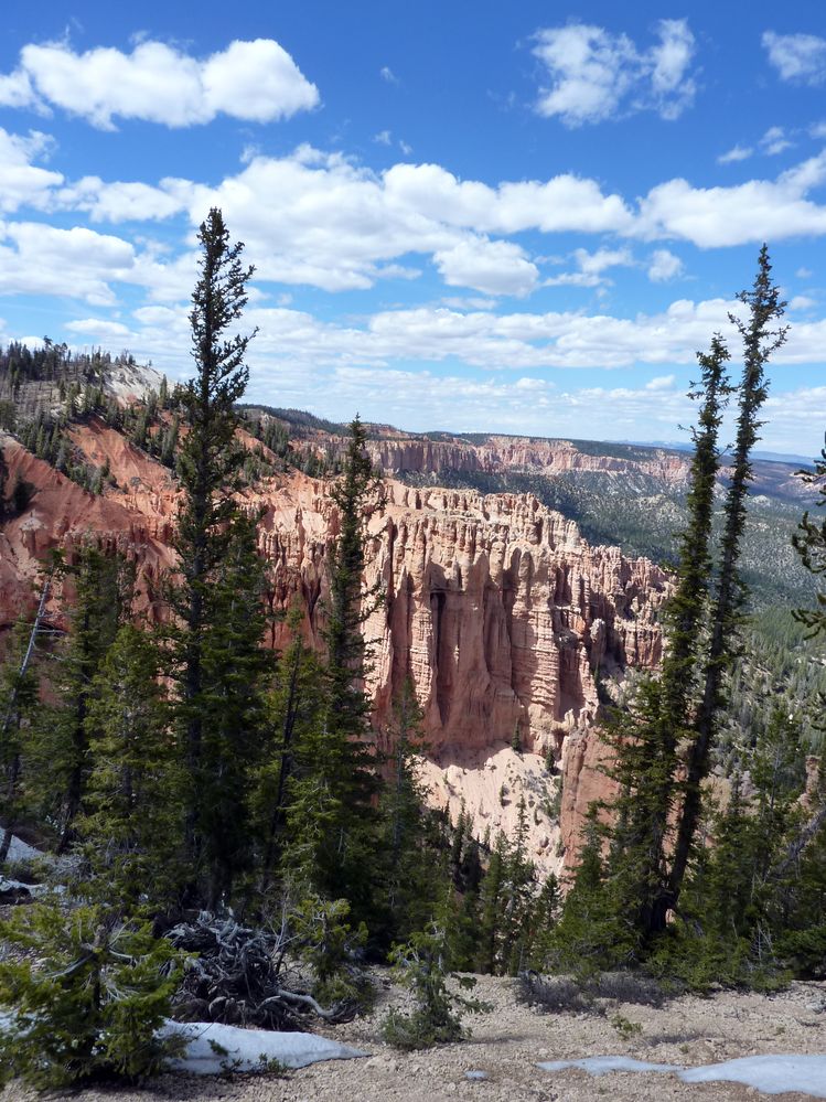 bryce canyon (137).JPG